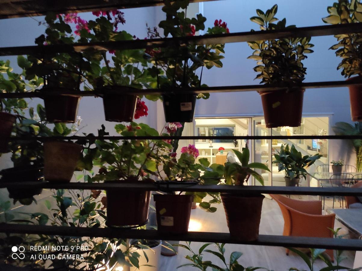 Habitacion Y Bano En Planta Independiente En Centro De Sevilla 外观 照片